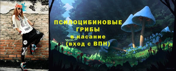 ешки Белокуриха