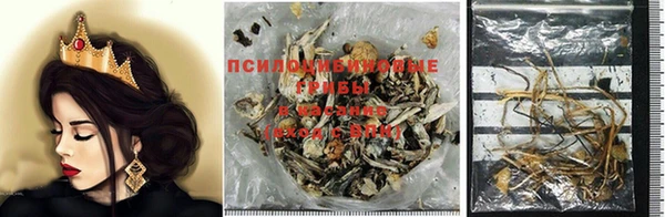 бошки Беломорск